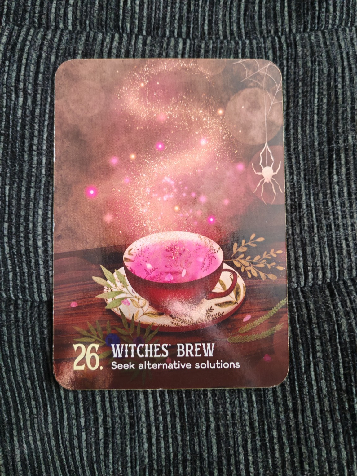 Witches’ Brew — Seek Alternative Solutions Oracle card photographed by Jan